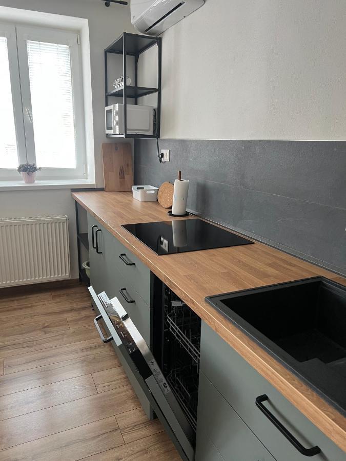 Elegantny Byt V Srdci Mesta Trenčín 外观 照片